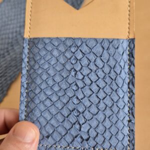 Porte carte simple - aquaria